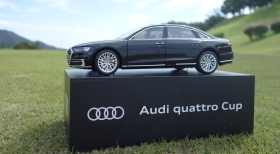 Audi quattro Cup 2018 in 東児が丘マリンヒルズGC